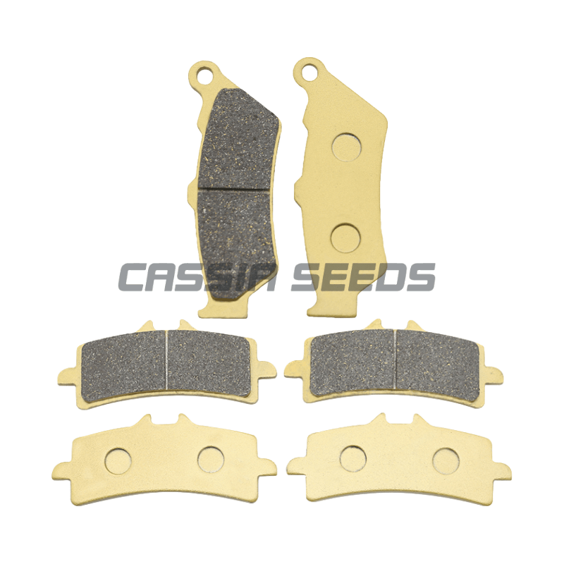 Pastillas de freno delanteras  - Carbon Ceramic Motorcycle Brake Rotor reseña y precio